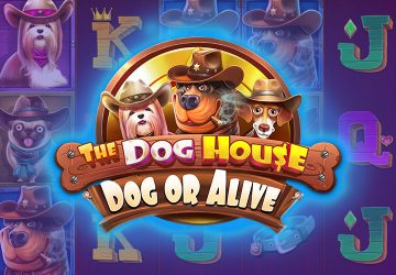Игра The Dog House Dog Or Alive в Ап Икс казино